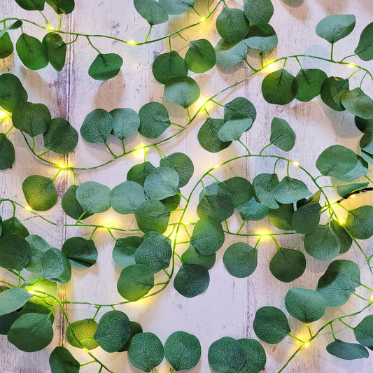 Eucalyptus Leaf Fairy Lights